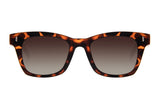 SUNGLASSES - OCCL4027