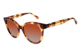 SUNGLASSES - OCCL4317