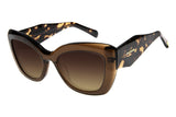 SUNGLASSES - OCCL4107