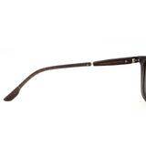 SUNGLASSES - OCCL5186