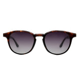 SUNGLASSES - OCCL5174