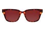 SUNGLASSES - OCCL4100