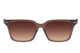 SUNGLASSES - OCCL4182