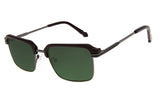 SUNGLASSES - OCCL4210