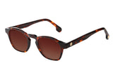 SUNGLASSES - OCCL4126
