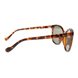 SUNGLASSES - OCCL4617