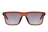 SUNGLASSES - OCCL4494