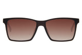 SUNGLASSES - OCCL4551