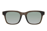 SUNGLASSES - OCCL4516