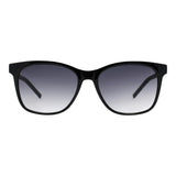 SUNGLASSES - OCCL5485