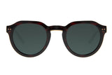 SUNGLASSES - OCCL4074