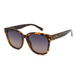 SUNGLASSES - OCCL5017