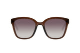 SUNGLASSES - OCCL4531