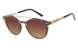 SUNGLASSES - OCCL3378