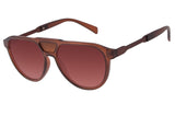 SUNGLASSES - OCCL3573