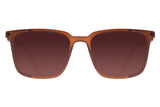 SUNGLASSES - OCCL3577