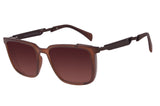 SUNGLASSES - OCCL3577