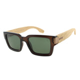 SUNGLASSES - OCCL5177