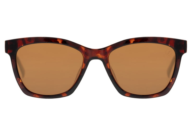 SUNGLASSES - OCCL3991