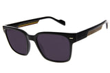 SUNGLASSES - OCCL4461