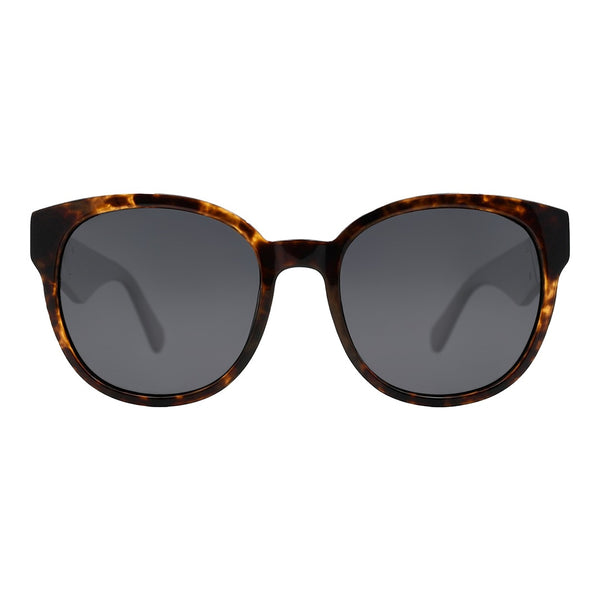 SUNGLASSES - OCCL5373