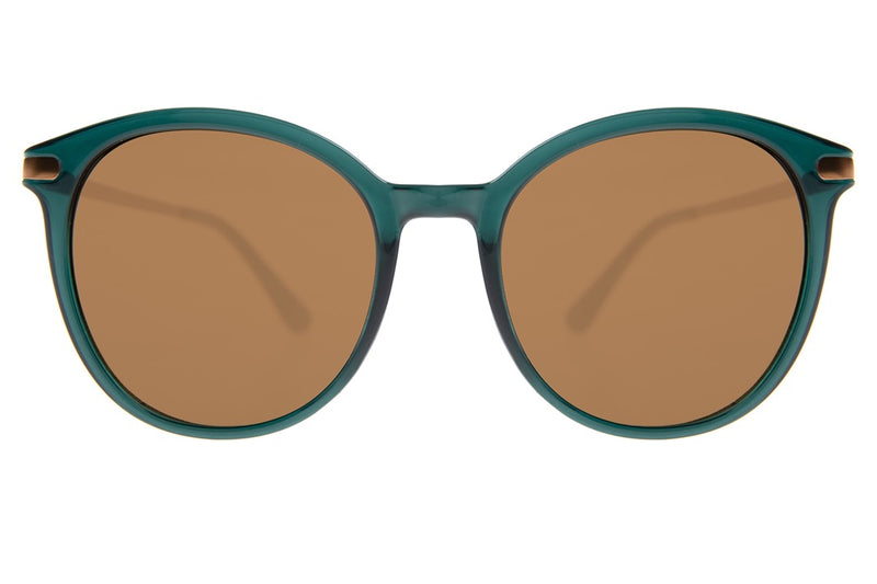 SUNGLASSES - OCCL3998