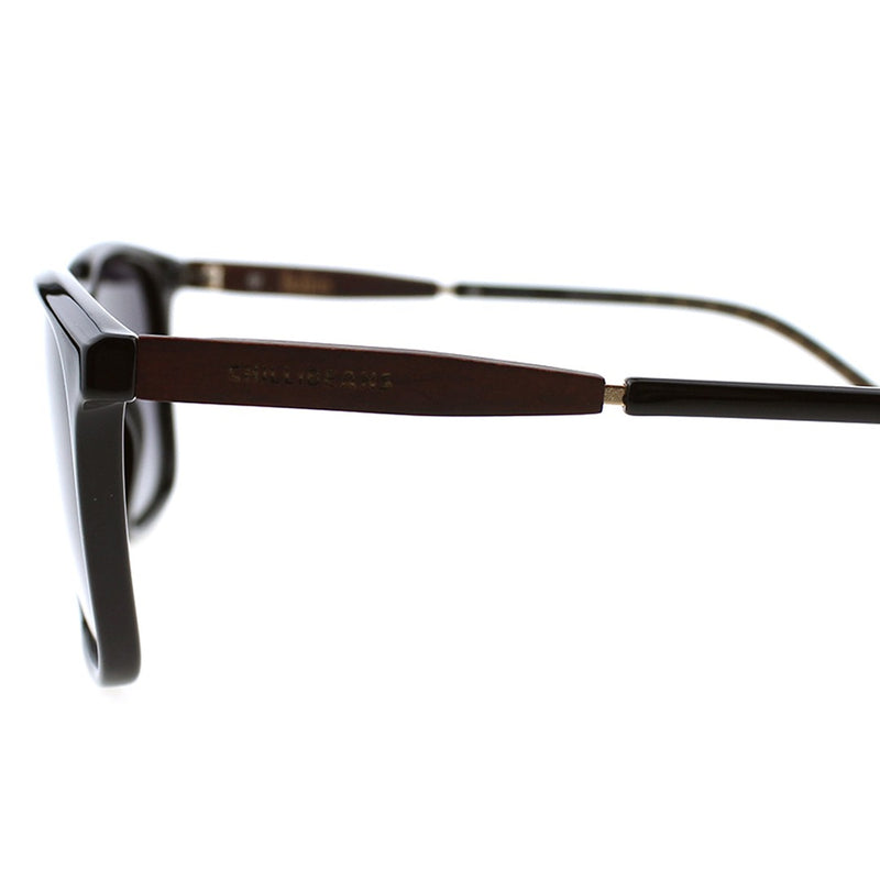 SUNGLASSES - OCCL5186