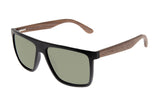SUNGLASSES - OCCL4172