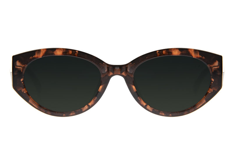 SUNGLASSES - OCCL4480