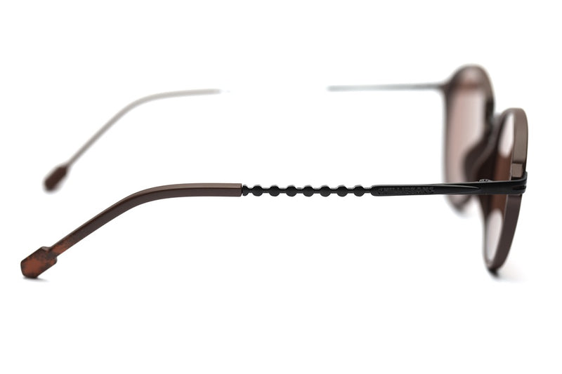 SUNGLASSES - OCCL4231