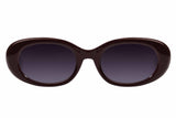 SUNGLASSES - OCCL4534