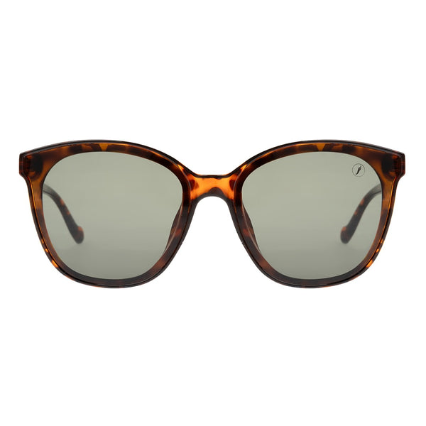 SUNGLASSES - OCCL4617