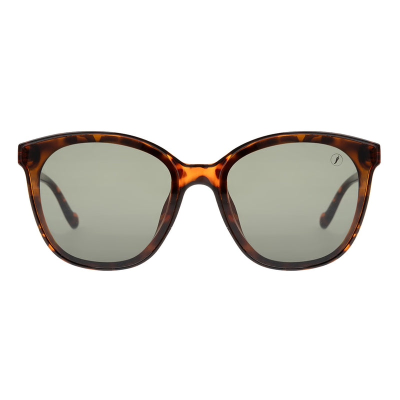 SUNGLASSES - OCCL4617