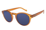 SUNGLASSES - OCCL4259