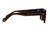 SUNGLASSES - OCCL4855