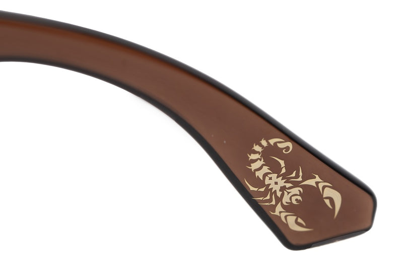 SUNGLASSES - OCCL4182