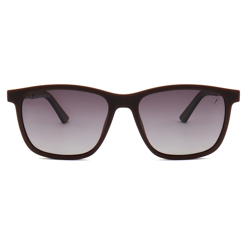 SUNGLASSES - OCCL5154