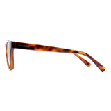 SUNGLASSES - OCCL5239