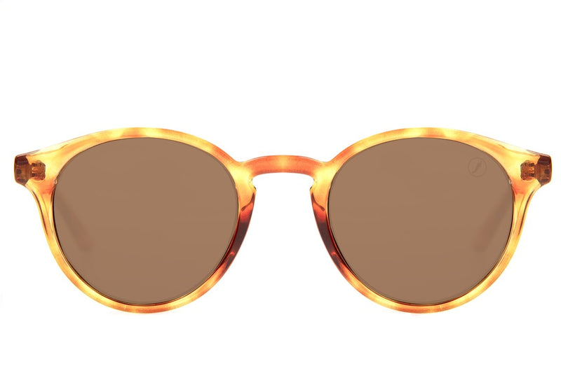 SUNGLASSES - OCCL3240
