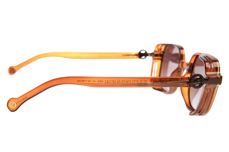 SUNGLASSES - OCCL4173