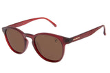SUNGLASSES - OCCL3589