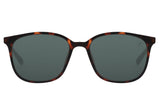 SUNGLASSES - OCCL4044