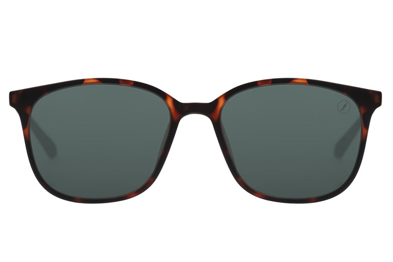 SUNGLASSES - OCCL4044