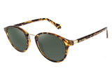 SUNGLASSES - OCCL3941