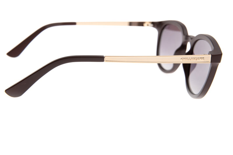 SUNGLASSES - OCCL3581