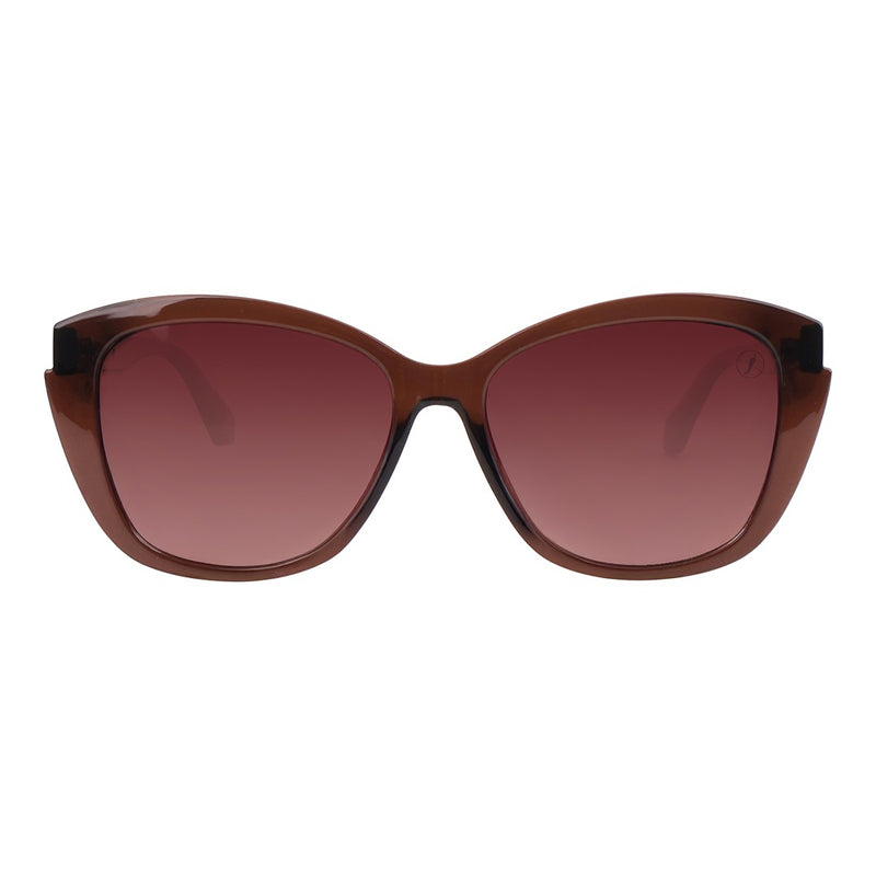 SUNGLASSES - OCCL5386