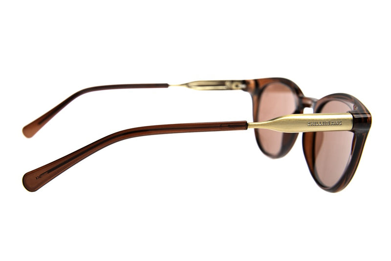 SUNGLASSES - OCCL4105