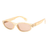 SUNGLASSES - OCCL5691