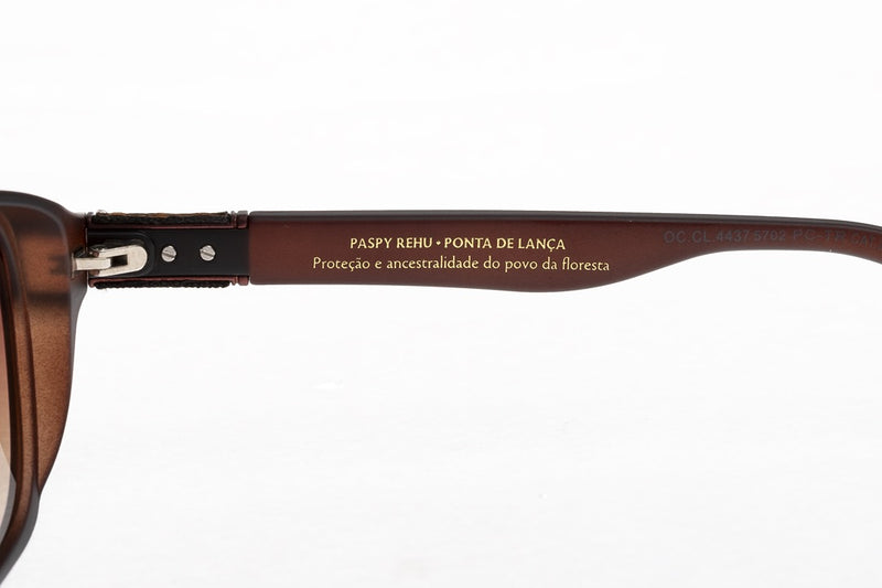 SUNGLASSES - OCCL4437