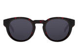 SUNGLASSES - OCCL4252